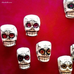 Fuchsia Skull picture