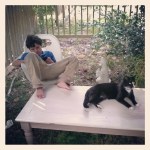 The table before with kid and cat on it