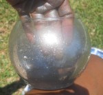 bird and glass 035