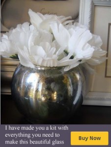 Kit with all you need to make DIy mercury glass